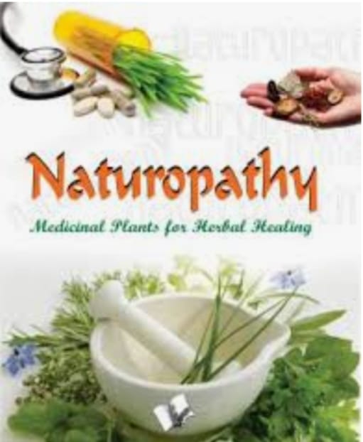 Naturopathy & Ayurveda image